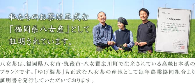 私たちのお茶は正式な「福岡県八女産」として証明されています。八女茶は、福岡県八女市・筑後市・八女郡広川町で生産されている高級日本茶のブランドです。「ゆげ製茶」も正式な八女茶の産地として毎年農業協同組合より証明書を発行していただいております。